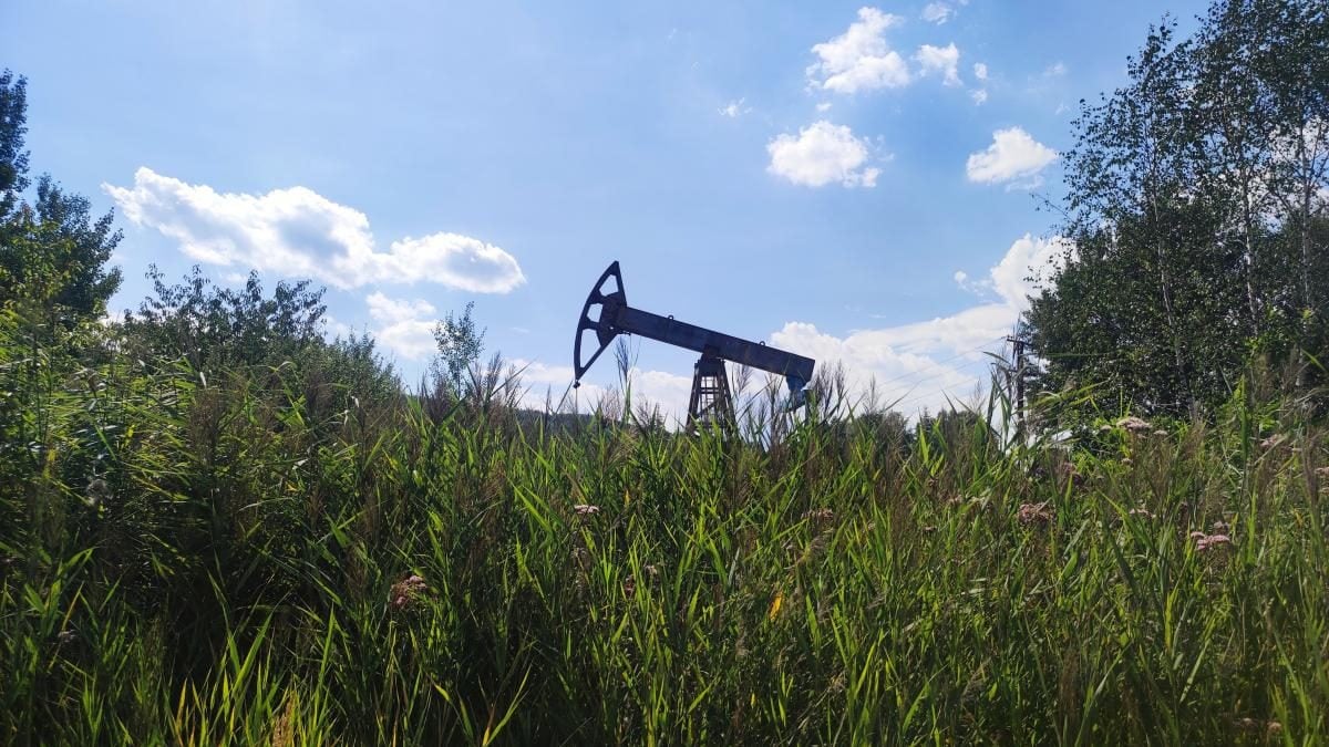 Буковиця: як дійти пішки до мальовничої вершини з Трускавця (фоторепортаж) 9 Буковиця: як дійти пішки до мальовничої вершини з Трускавця (фоторепортаж)