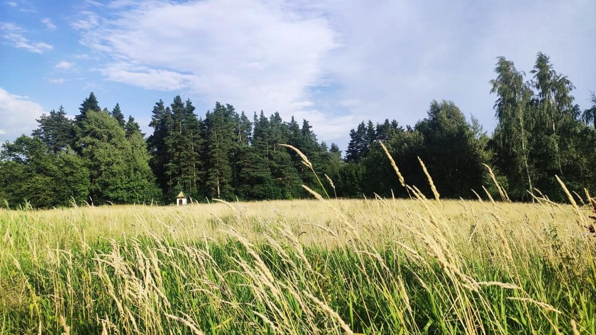 Буковиця: як дійти пішки до мальовничої вершини з Трускавця (фоторепортаж) 22 Буковиця: як дійти пішки до мальовничої вершини з Трускавця (фоторепортаж)
