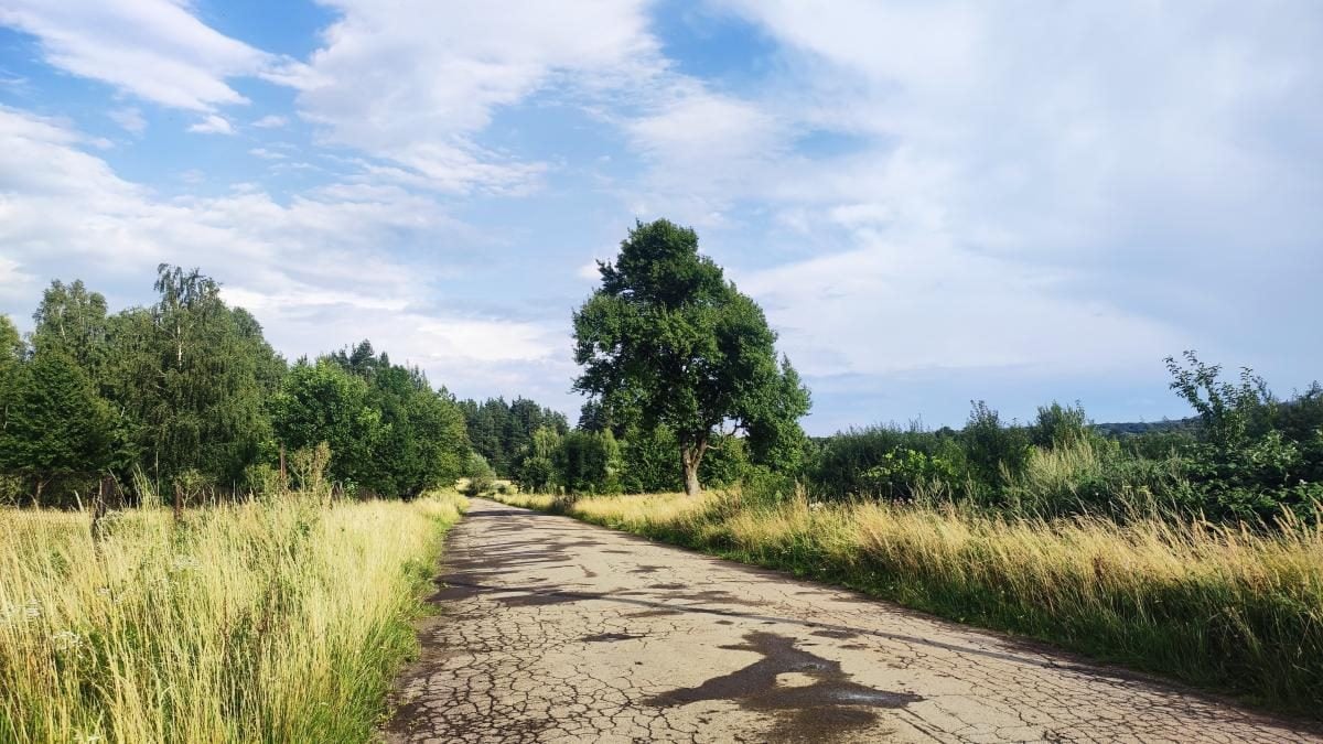 Буковиця: як дійти пішки до мальовничої вершини з Трускавця (фоторепортаж) 21 Буковиця: як дійти пішки до мальовничої вершини з Трускавця (фоторепортаж)
