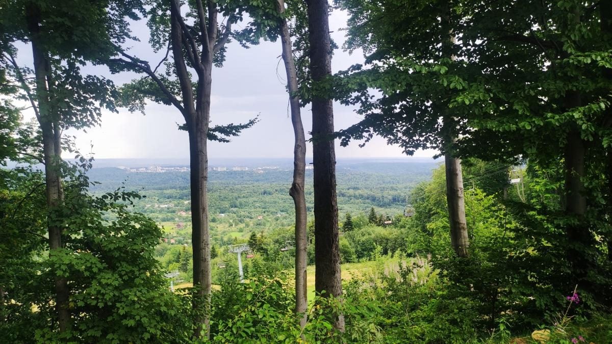 Буковиця: як дійти пішки до мальовничої вершини з Трускавця (фоторепортаж) 16 Буковиця: як дійти пішки до мальовничої вершини з Трускавця (фоторепортаж)
