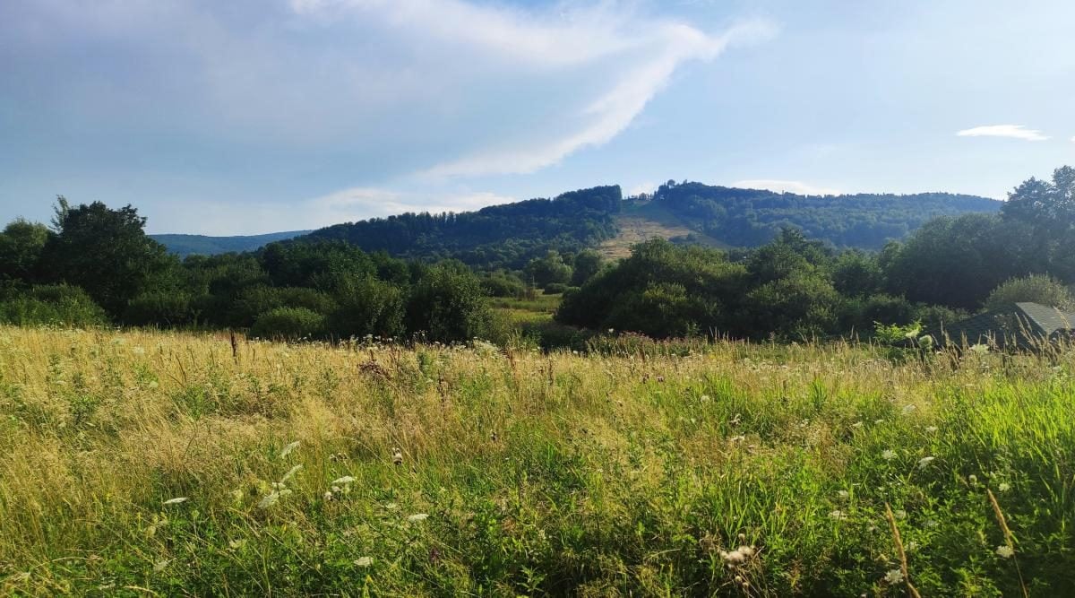 Буковиця: як дійти пішки до мальовничої вершини з Трускавця (фоторепортаж) 23 Буковиця: як дійти пішки до мальовничої вершини з Трускавця (фоторепортаж)