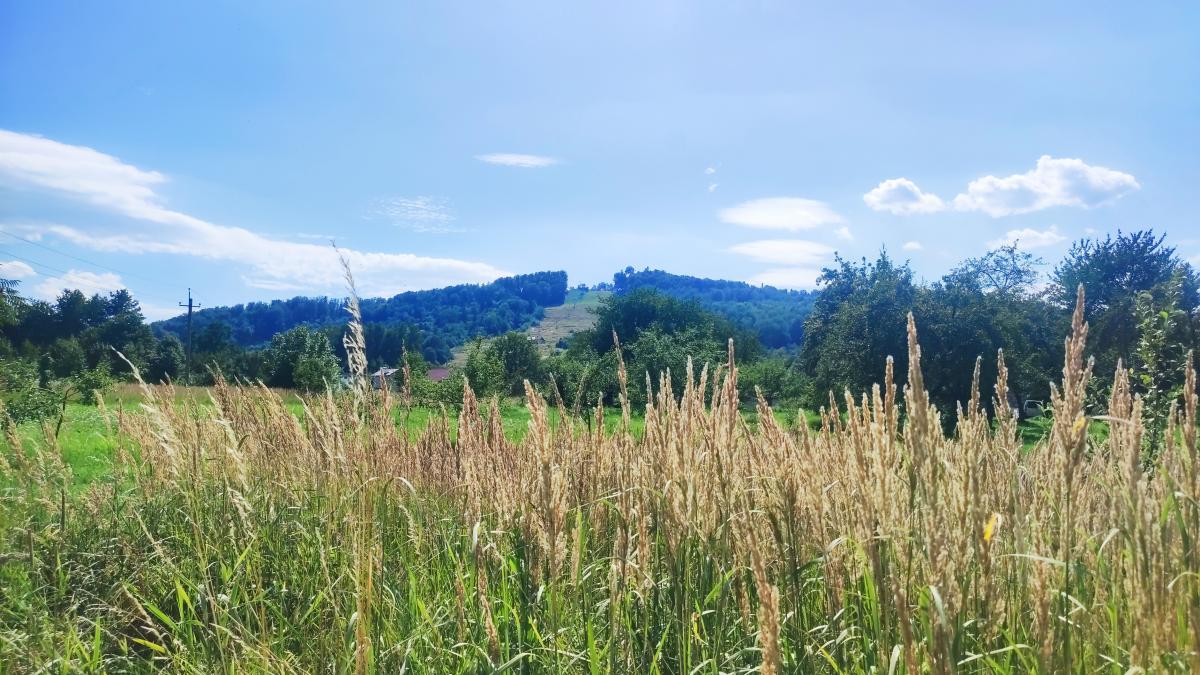 Буковиця: як дійти пішки до мальовничої вершини з Трускавця (фоторепортаж) 1 Гора Буковиця влітку збирає чимало туристів / фото Марина Григоренко