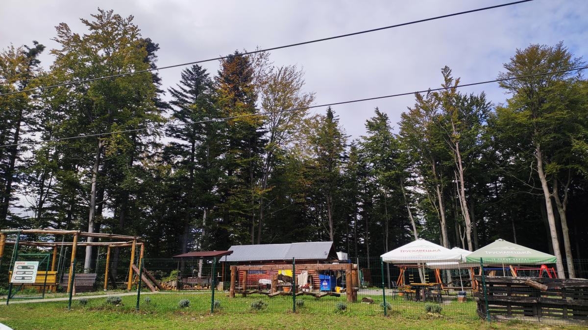 Буковиця влітку: в пошуках мальовничих краєвидів на Львівщині 3 Обстановка на вершині Буковиці / фото Марина Григоренко