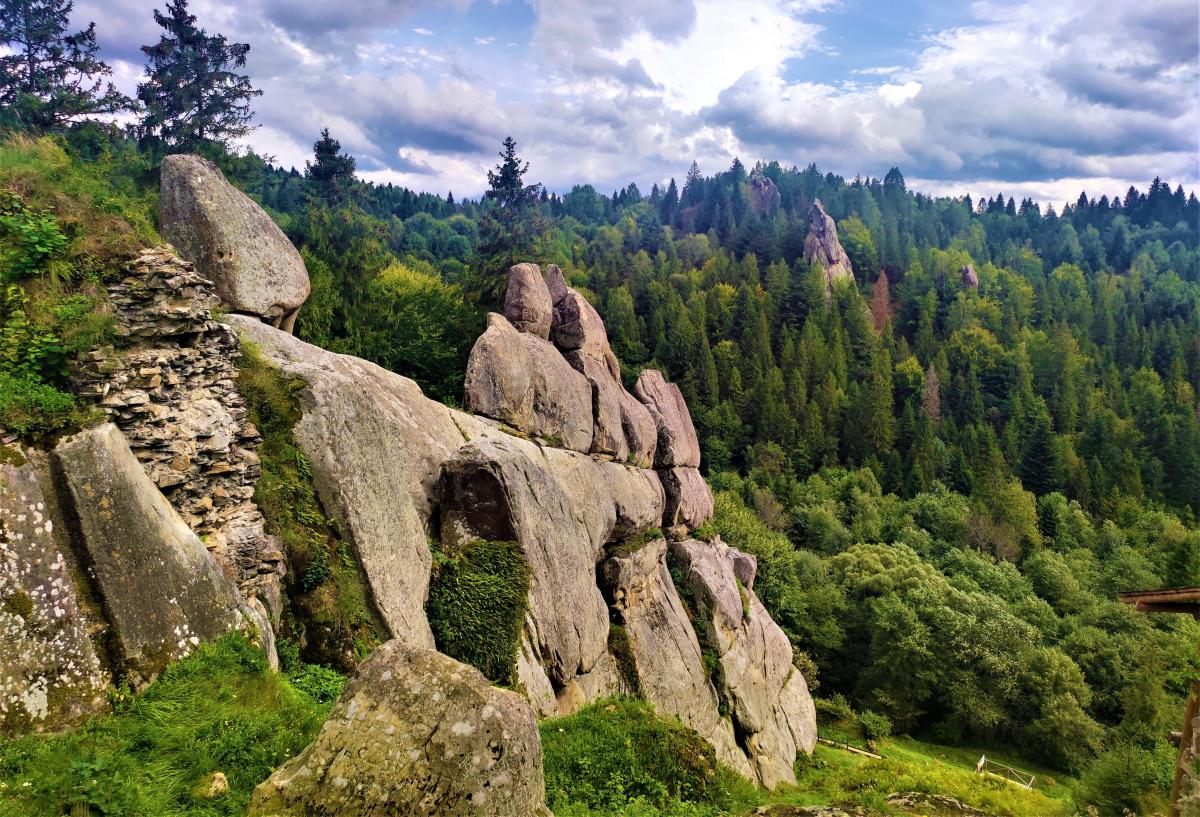 Буковиця влітку: в пошуках мальовничих краєвидів на Львівщині 15 Краєвиди з Тустані / фото Марина Григоренко