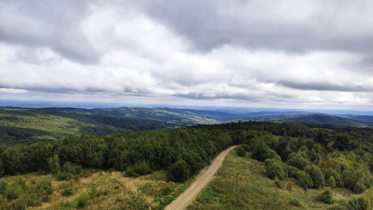 Буковиця влітку: в пошуках мальовничих краєвидів на Львівщині 11 Краєвиди з вершини вежі на горі Цюхів Діл / фото Марина Григоренко