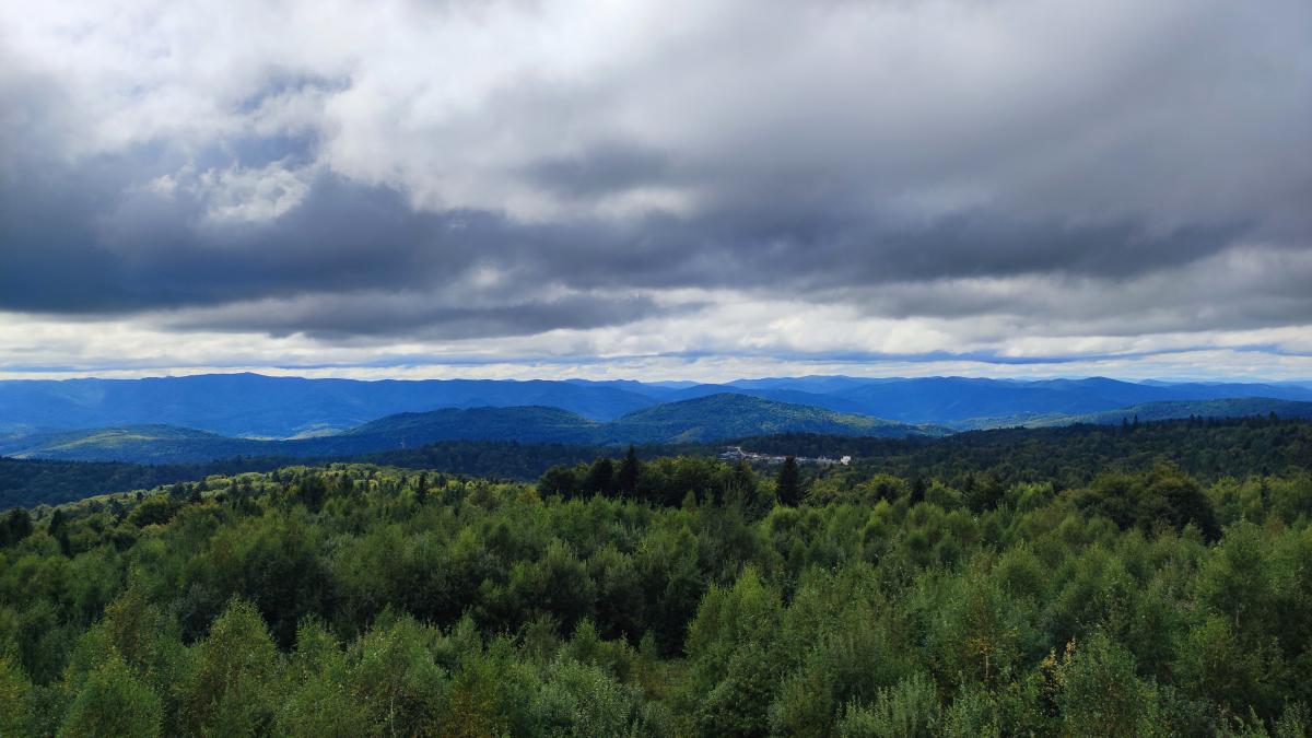 Буковиця влітку: в пошуках мальовничих краєвидів на Львівщині 10 Краєвиди з вершини вежі на горі Цюхів Діл / фото Марина Григоренко