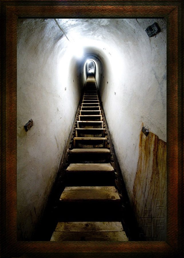 Бункер лінії Арпада на Закарпатті - де знаходиться, як виглядає Бункер лінії Арпада на Закарпатті - де знаходиться, як виглядає 3