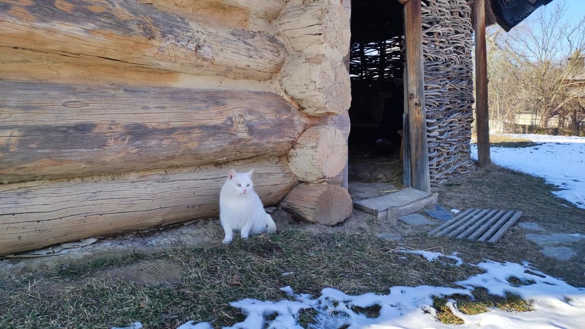 Це варто встигнути побачити: засніжений музей Пирогово у Києві (фоторепортаж, відео)