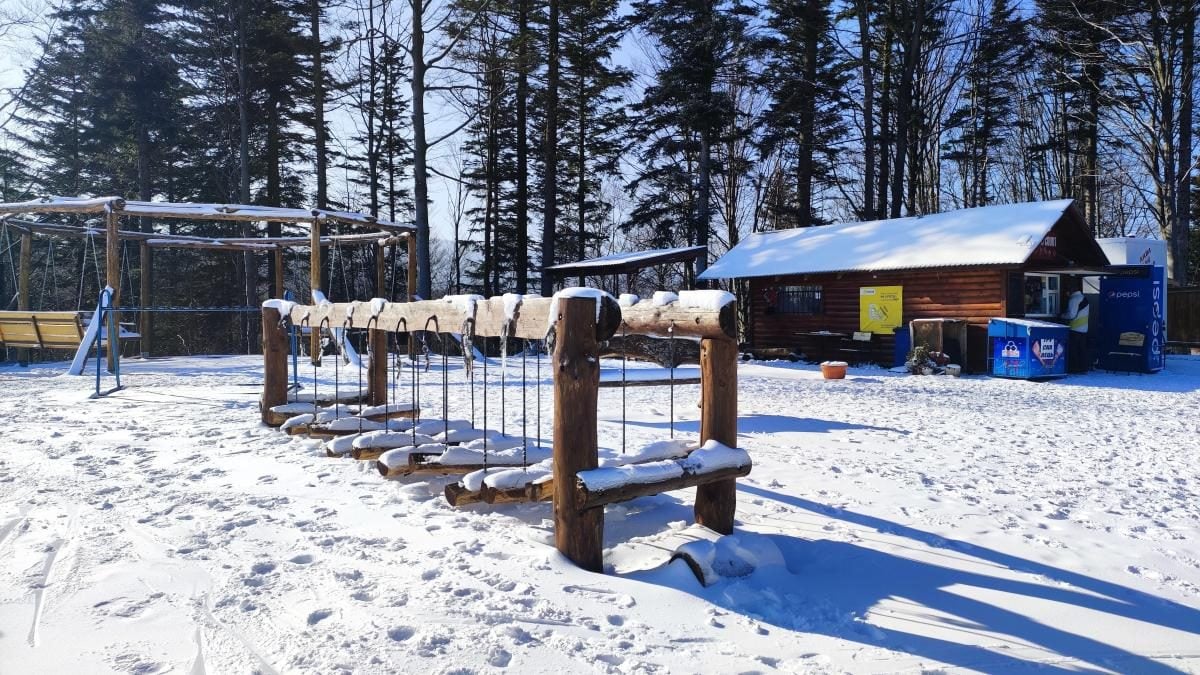 Чи є сніг на Буковиці: гірськолижні курорти Львівщини в умовах теплої зими (фоторепортаж, відео)