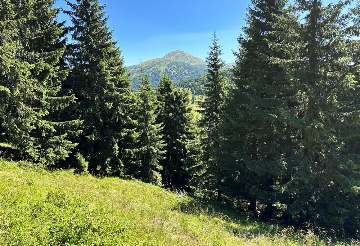 Говерла, Петрос, Піп Іван: що варто знати, щоб безпечно зійти на вершини Карпат 10 Варто пам'ятати, що погода в Карпатах швидко змінюється / фото Наталія Петерварі