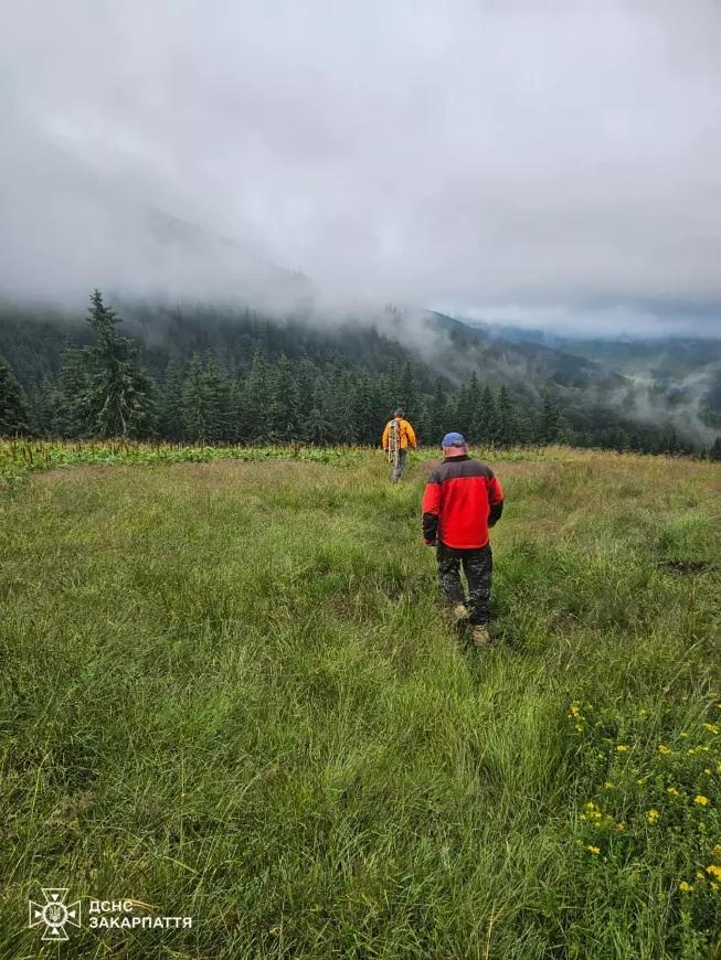 Говерла, Петрос, Піп Іван: що варто знати, щоб безпечно зійти на вершини Карпат 15 Іноді туристів доводиться рятувати через раптову зміну погоди / фото ГУ ДСНС у Закарпатській області