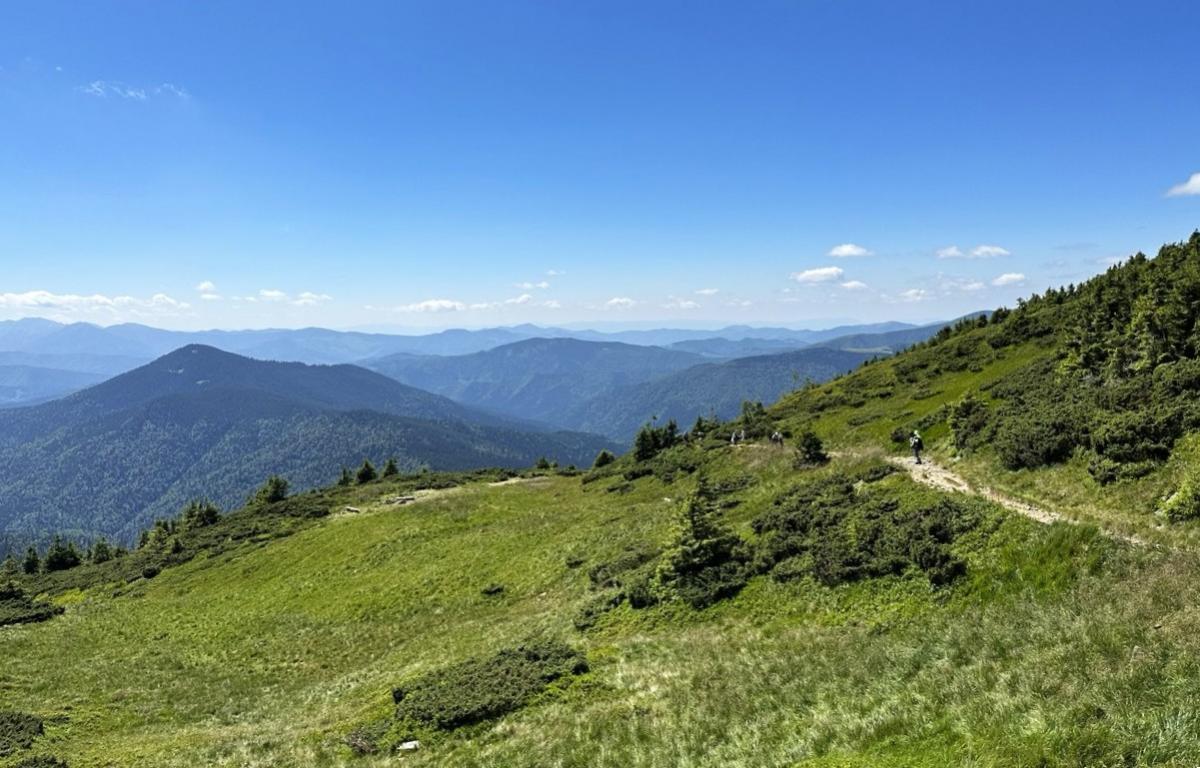 Говерла, Петрос, Піп Іван: що варто знати, щоб безпечно зійти на вершини Карпат 6 Літо ідеально підходить для підкорення Карпат / фото Наталія Петерварі