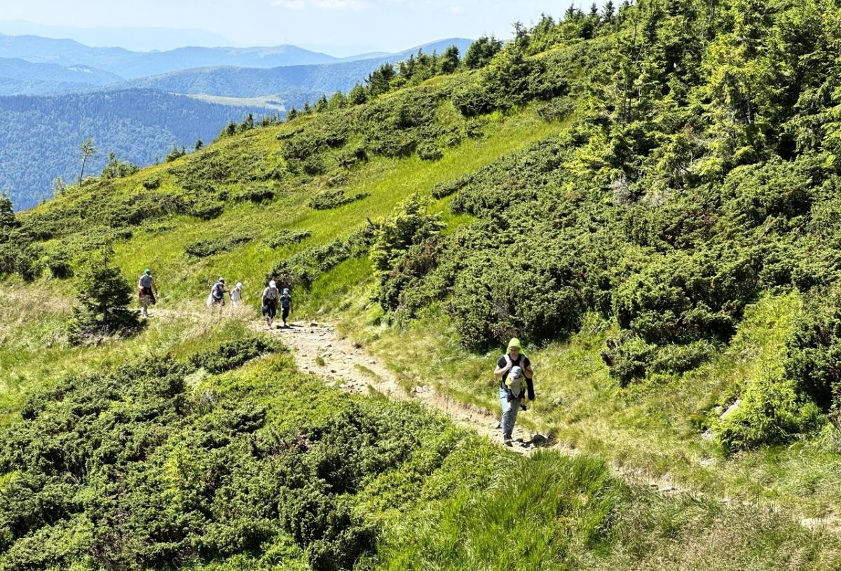Говерла, Петрос, Піп Іван: що варто знати, щоб безпечно зійти на вершини Карпат 3 Українці підкорюють Говерлу цілими родинами / фото Наталія Петерварі
