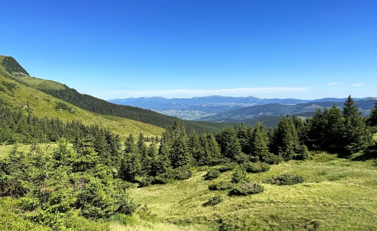 Говерла, Петрос, Піп Іван: що варто знати, щоб безпечно зійти на вершини Карпат 8 До Говерли ведуть кілька маршрутів / фото Наталія Петерварі