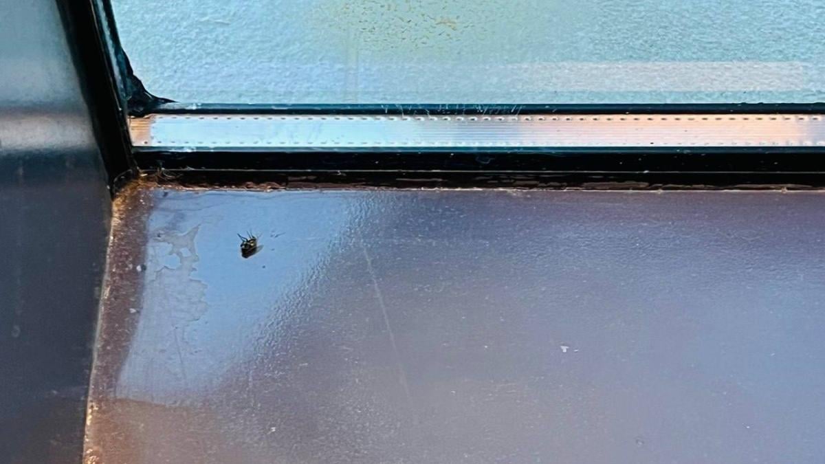 Інший Єгипет: північне узбережжя запрошує українців, але ще не навчилось, як нам догодити