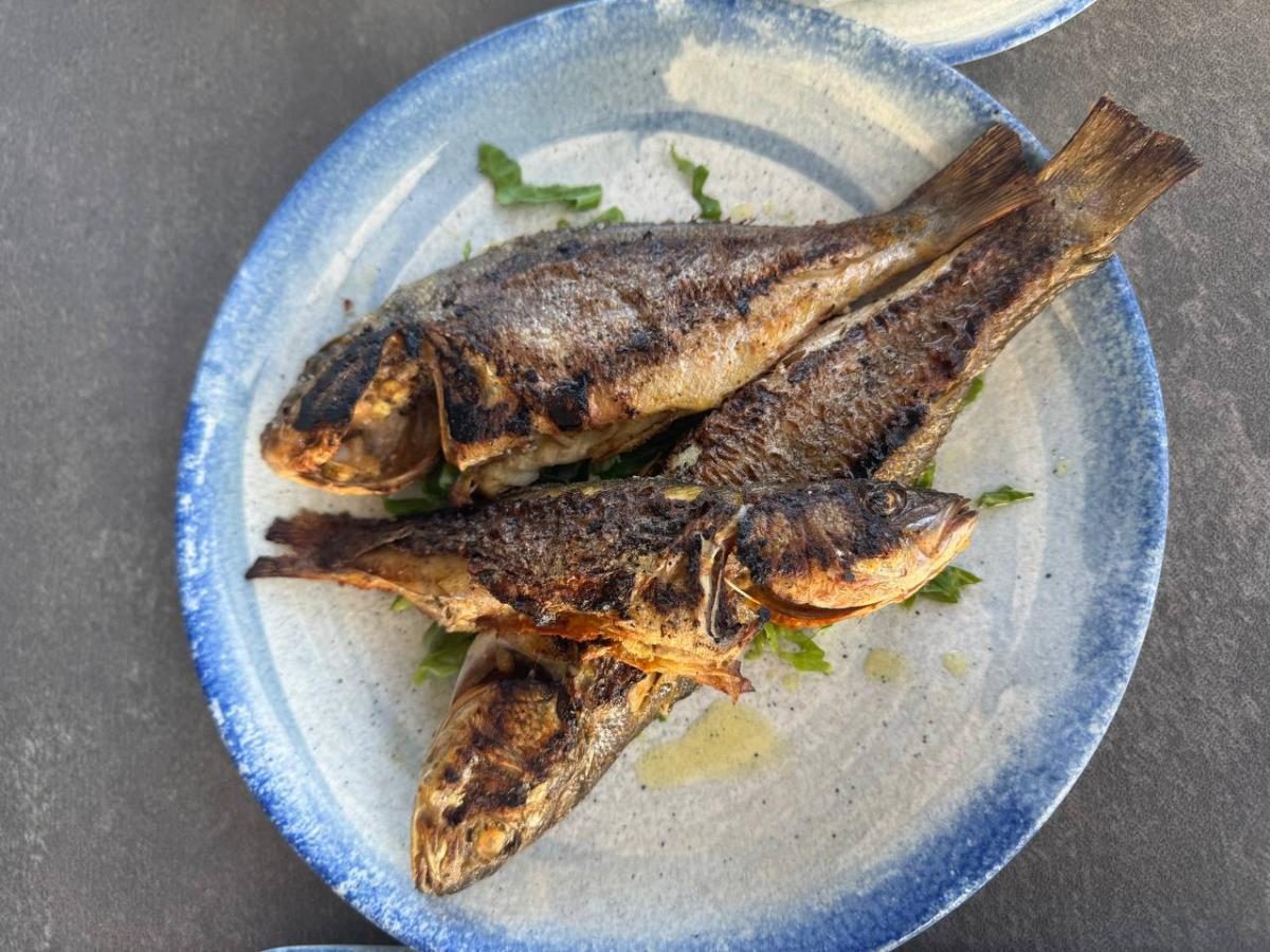 Інший Єгипет: північне узбережжя запрошує українців, але ще не навчилось, як нам догодити