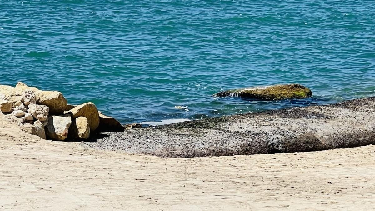 Інший Єгипет: північне узбережжя запрошує українців, але ще не навчилось, як нам догодити