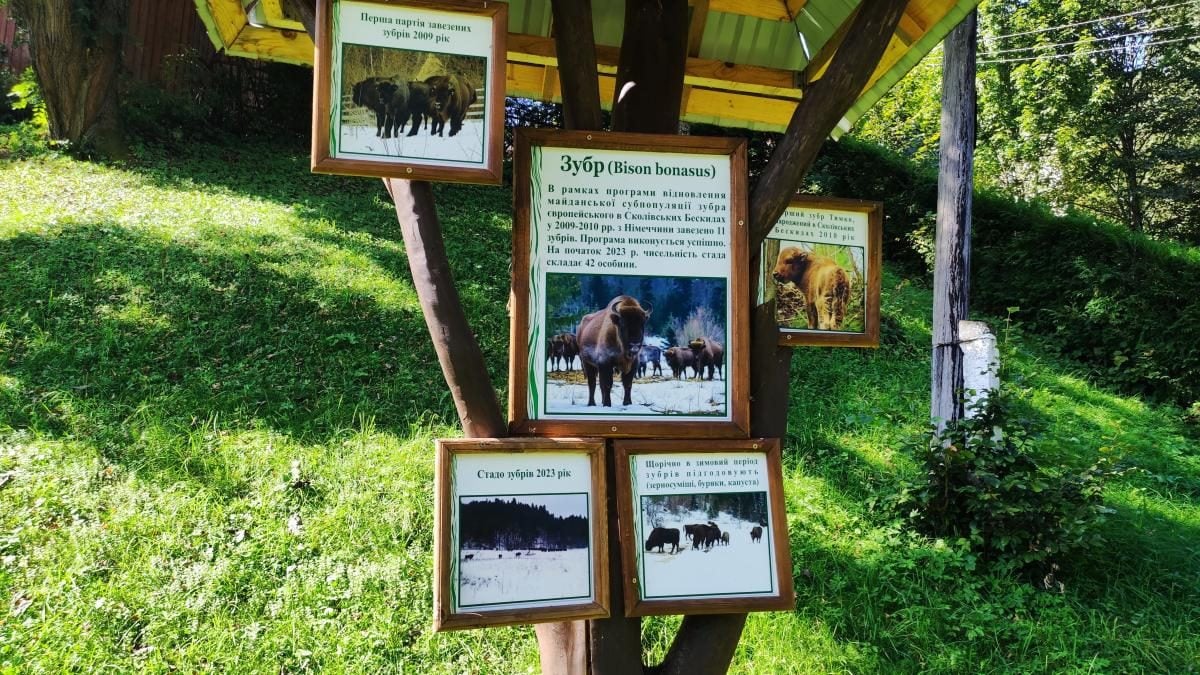 Майдан: колись процвітаюче село на Львівщині, нині ніби застигло у часі (фоторепортаж)