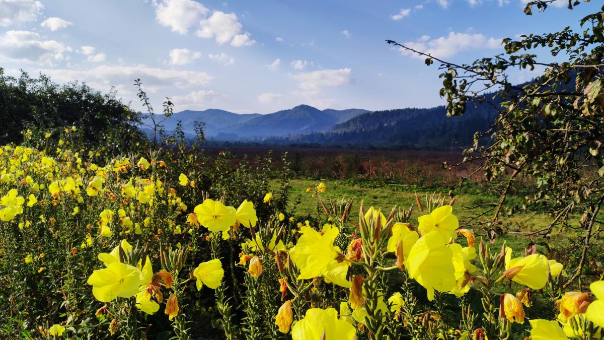 Дорога від Майдану до Східниці / фото Марина Григоренко
