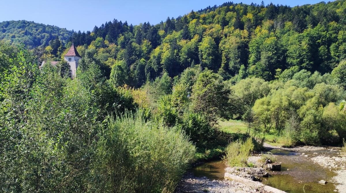 На Львівщині розвалюється закинутий костел, який так і не був освячений (фото, відео)