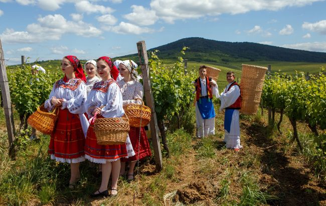 Найкращі виноробні в Україні - куди поїхати туристам 1