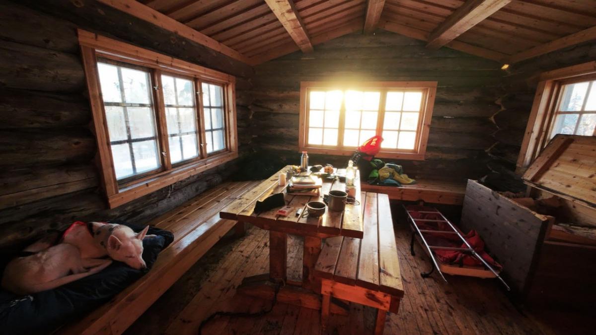 Подорож до Арктики: дістатися полярного кола, побачити північне сяйво і пробігти крижаний марафон