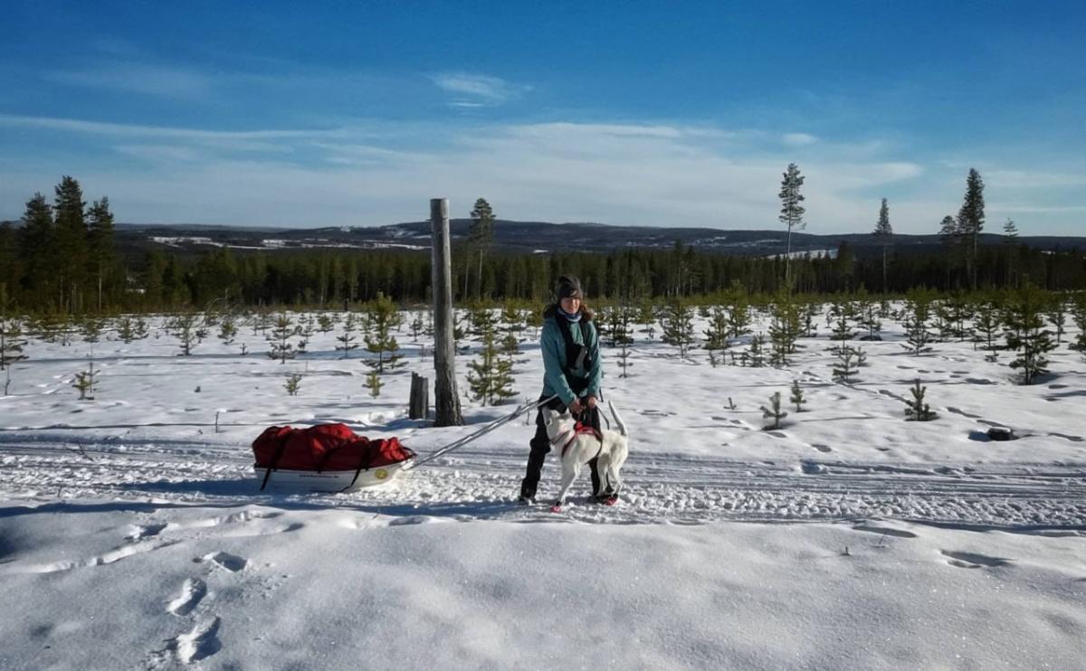 Подорож до Арктики: дістатися полярного кола, побачити північне сяйво і пробігти крижаний марафон 11 Любов хоче надихнути на подорожі й інших українців / фото Facebook-сторінка Любові Бойко