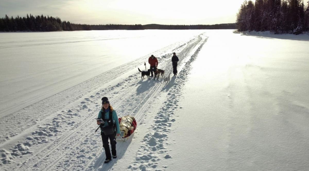 Подорож до Арктики: дістатися полярного кола, побачити північне сяйво і пробігти крижаний марафон 8 Так виглядає подорож Арктикою / фото Facebook-сторінка Любові Бойко