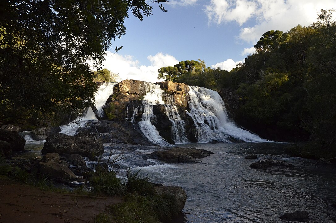 Прудентополіс в Бразилії - звідки там українці і чому місто називають столицею Прудентополіс в Бразилії - звідки там українці і чому місто називають столицею 4