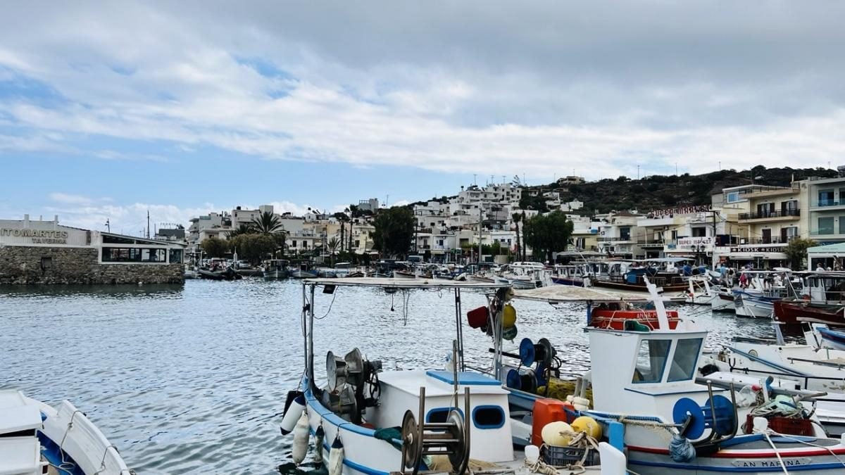 Сонячний Крит: тепле море та смак знаменитих грецьких оливок 17 Сонячний Крит: тепле море та смак знаменитих грецьких оливок