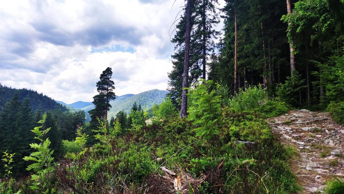 Татарів: тихий рай між галасливими Яремче та Буковелем 19 Татарів: тихий рай між галасливими Яремче та Буковелем