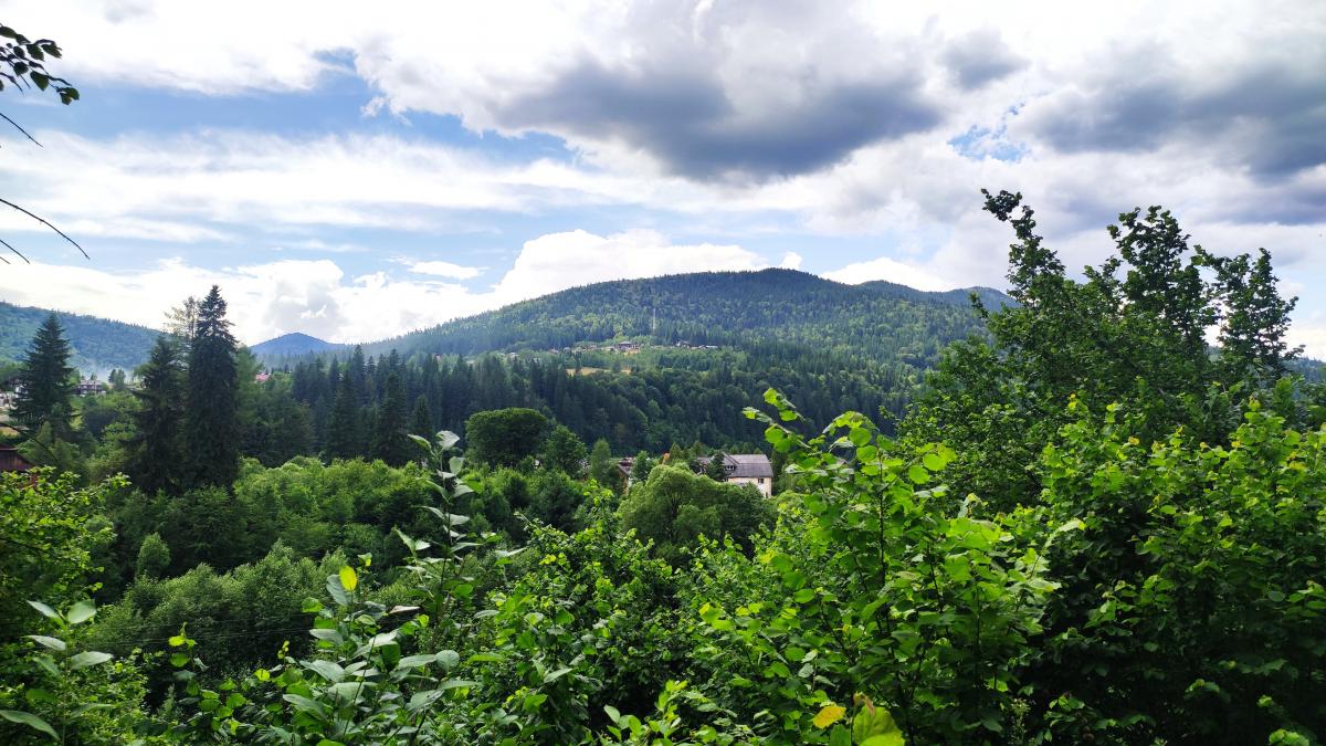 Татарів: тихий рай між галасливими Яремче та Буковелем 44 Але краєвиди на маршруті чудові / фото Марина Григоренко