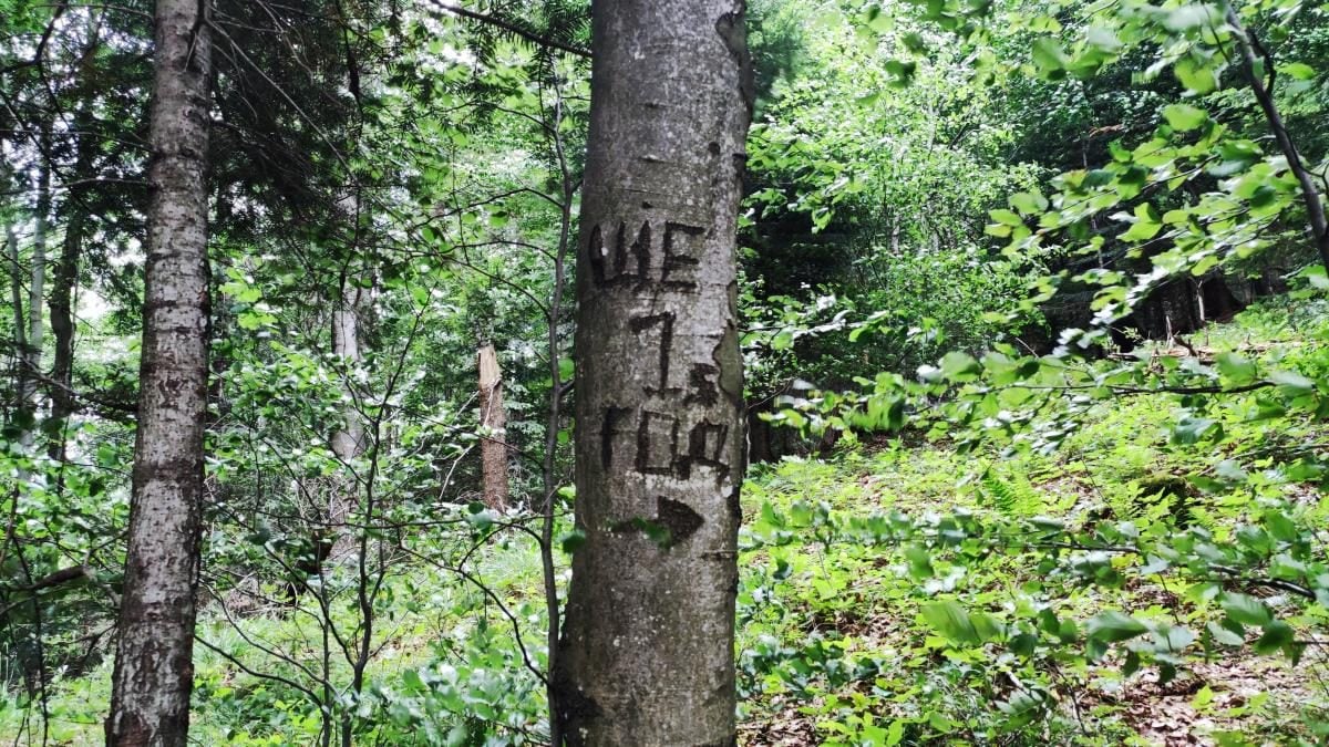 Татарів: тихий рай між галасливими Яремче та Буковелем 23 Татарів: тихий рай між галасливими Яремче та Буковелем