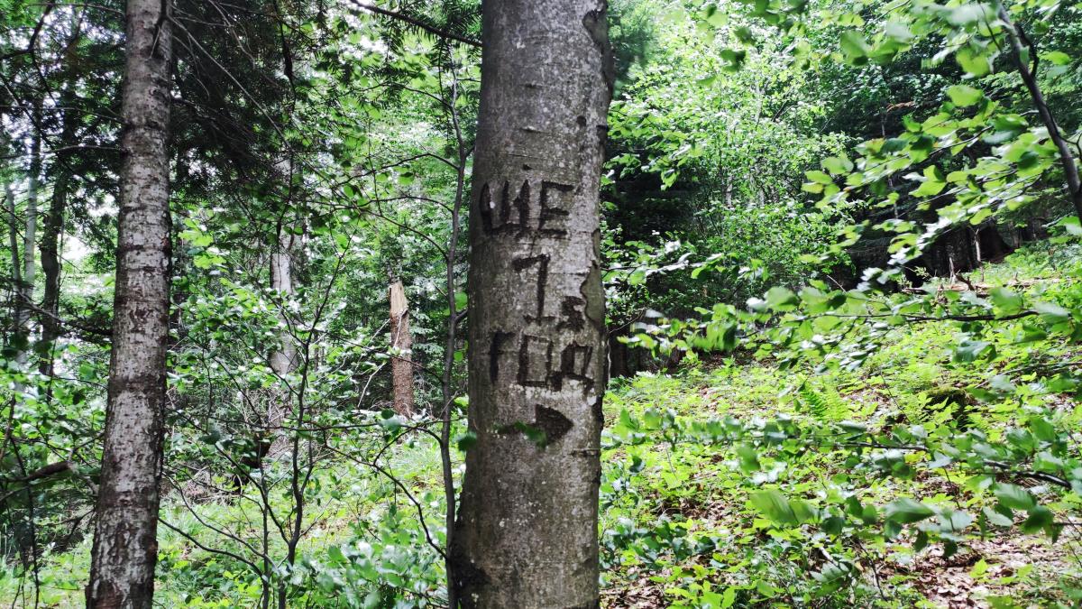 Татарів: тихий рай між галасливими Яремче та Буковелем 48 Можна зустріти і такі помітки / фото Марина Григоренко