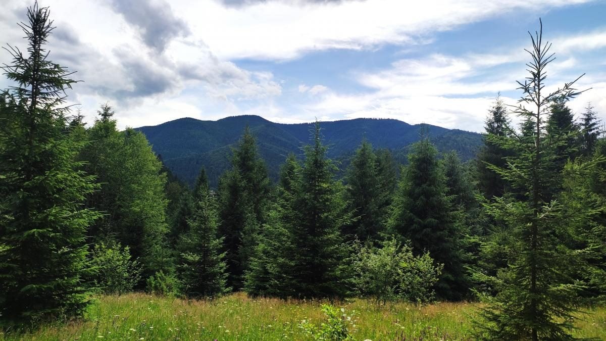 Татарів: тихий рай між галасливими Яремче та Буковелем 4 Татарів: тихий рай між галасливими Яремче та Буковелем