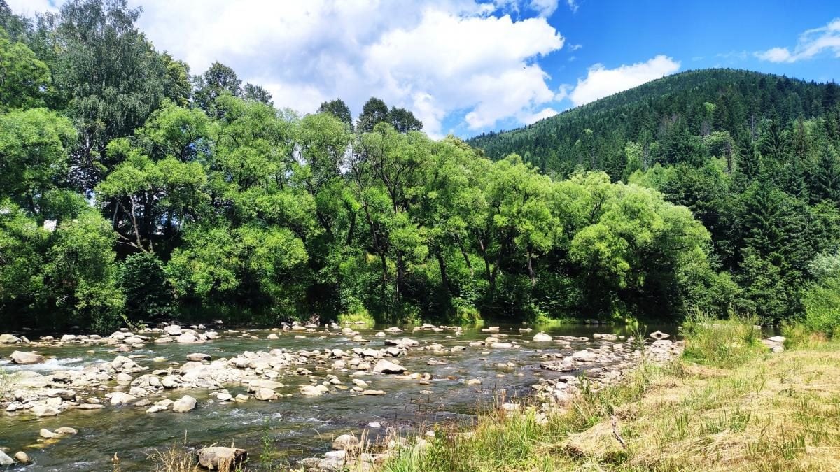 Татарів: тихий рай між галасливими Яремче та Буковелем 16 Татарів: тихий рай між галасливими Яремче та Буковелем