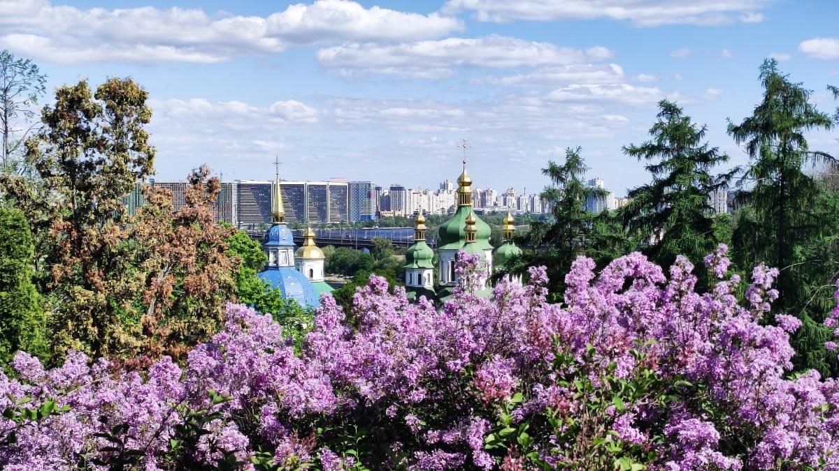 У київському ботсаду розпочався сезон цвітіння бузку – це не можна пропустити (фоторепортаж)