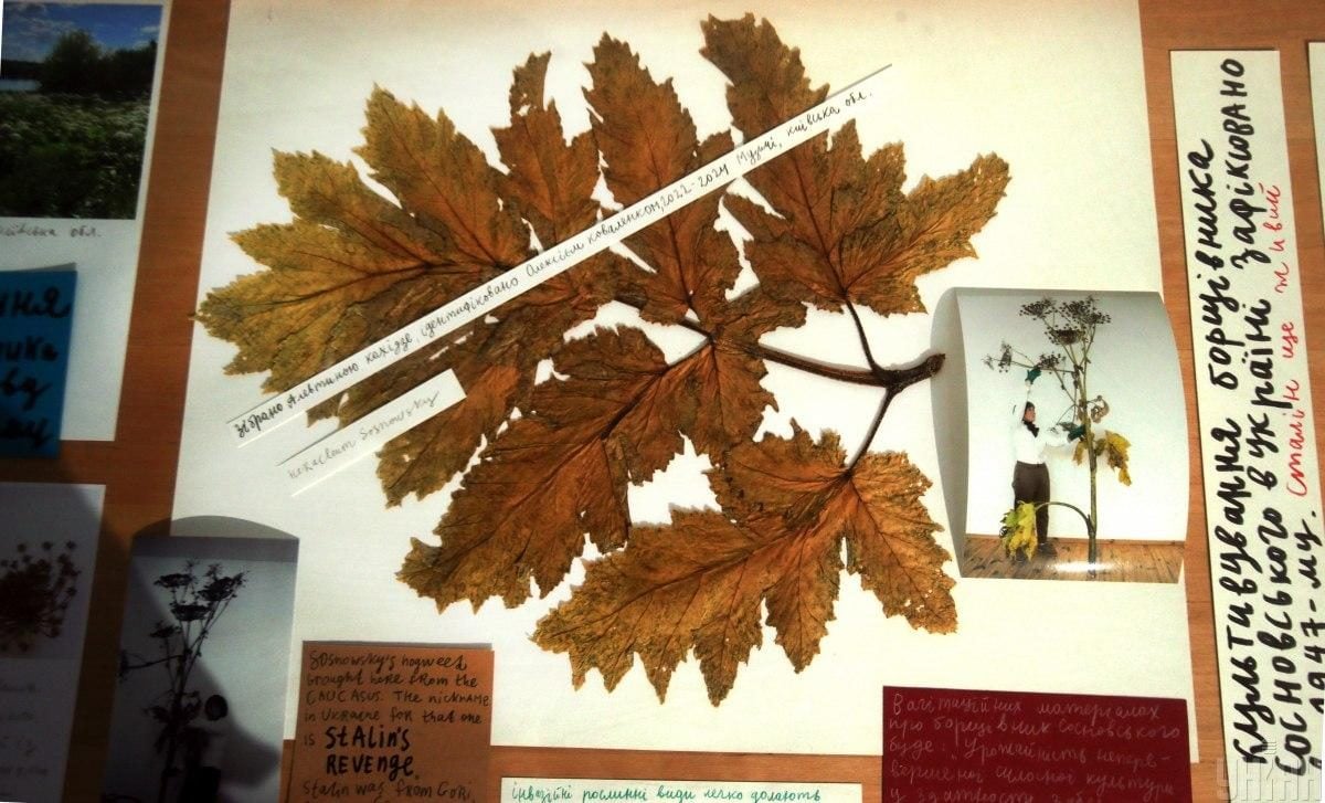 У PinchukArtCentre представили одразу шість нових виставок (фоторепортаж)