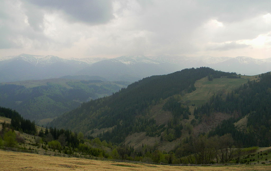 Вершини у Карпатах де туристи бувають рідко Вершини у Карпатах де туристи бувають рідко 5