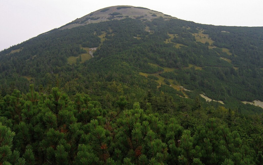 Вершини у Карпатах де туристи бувають рідко Вершини у Карпатах де туристи бувають рідко 7