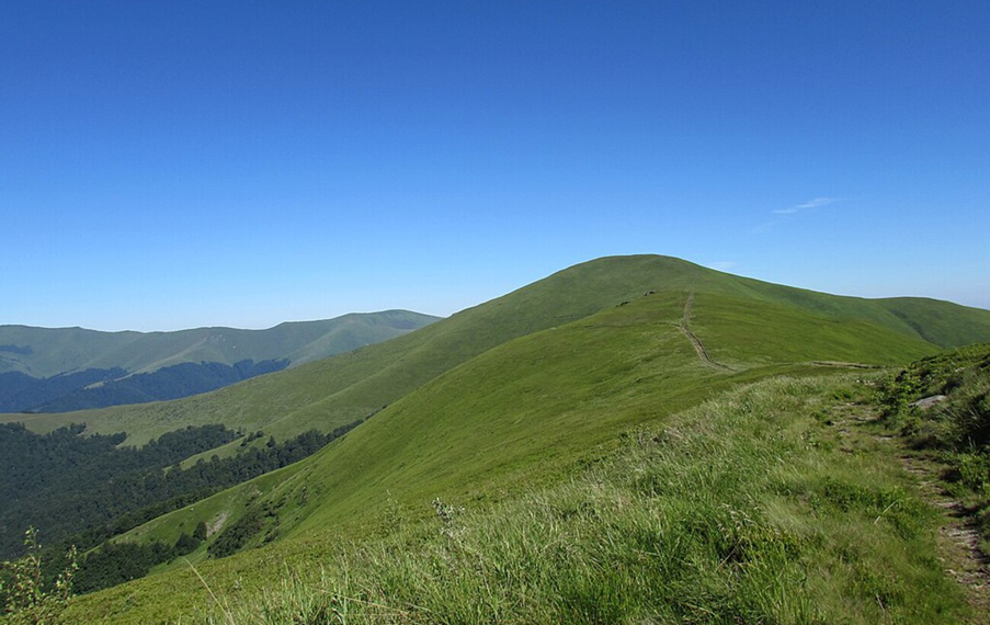 Вершини у Карпатах де туристи бувають рідко Вершини у Карпатах де туристи бувають рідко 6