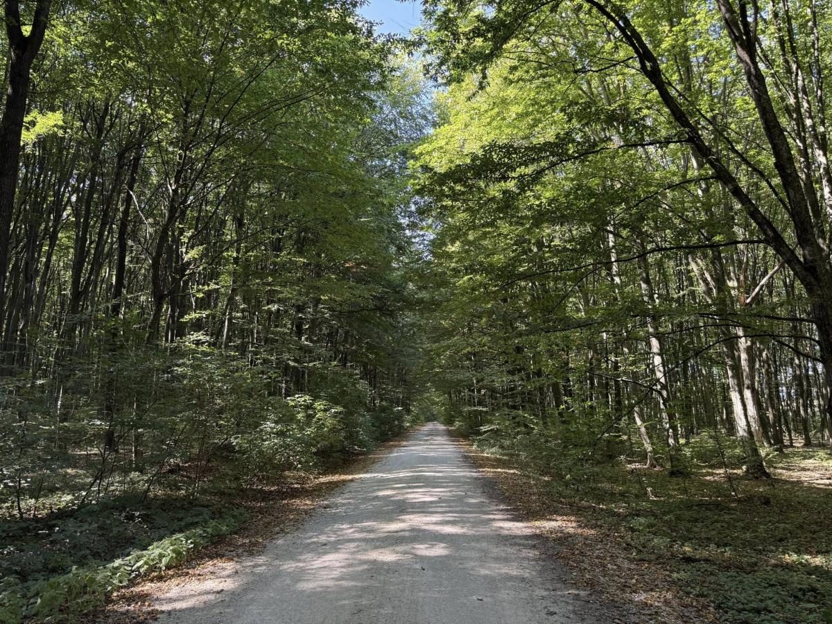 Біля курорту Сатанів облаштували 32-кілометровий туристичний маршрут: чим він цікавий 11 Біля курорту Сатанів облаштували 32-кілометровий туристичний маршрут: чим він цікавий