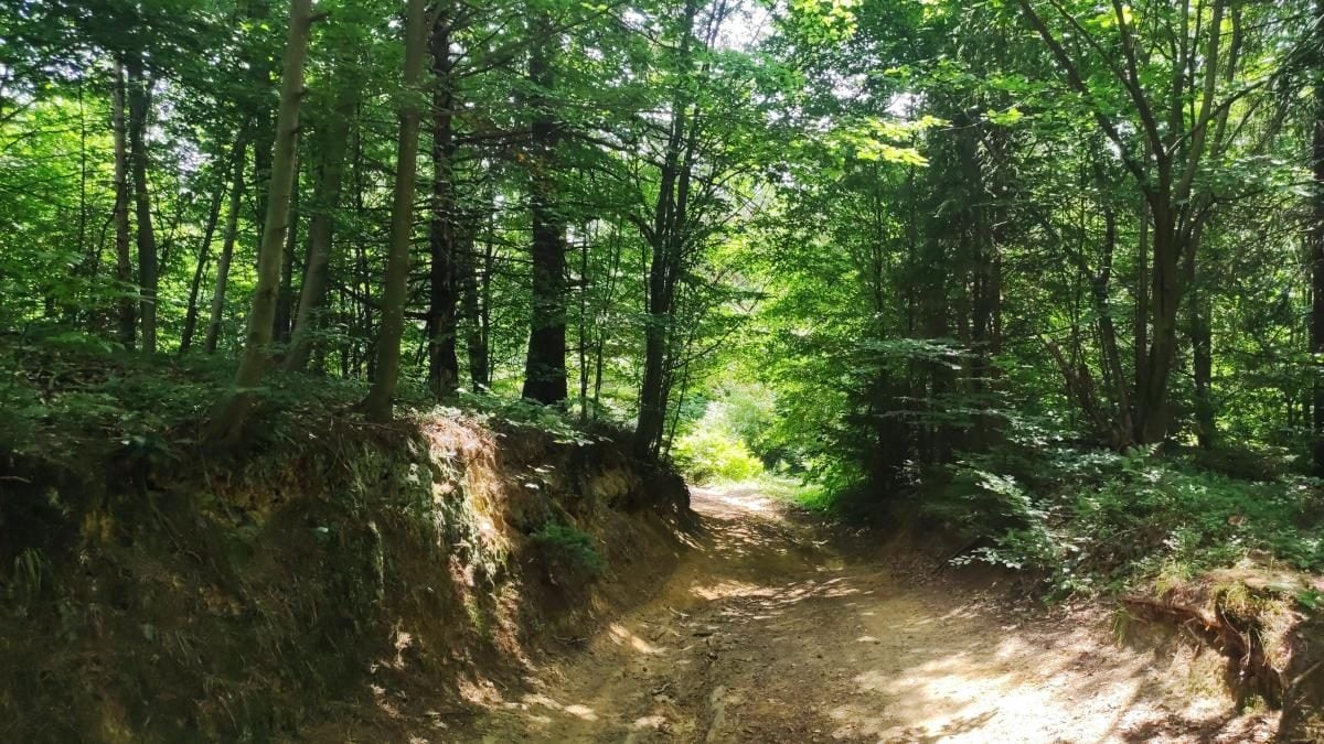 Ямельницькі скелі: блукаючи непрохідними стежками УПА