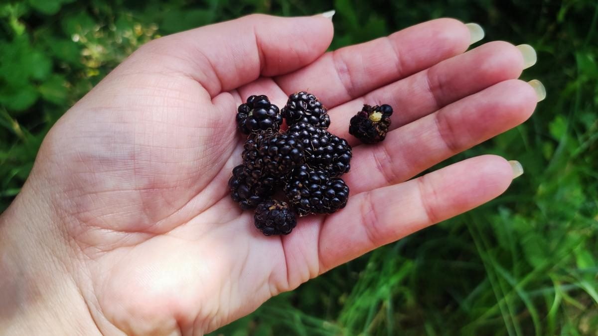 Ямельницькі скелі: блукаючи непрохідними стежками УПА