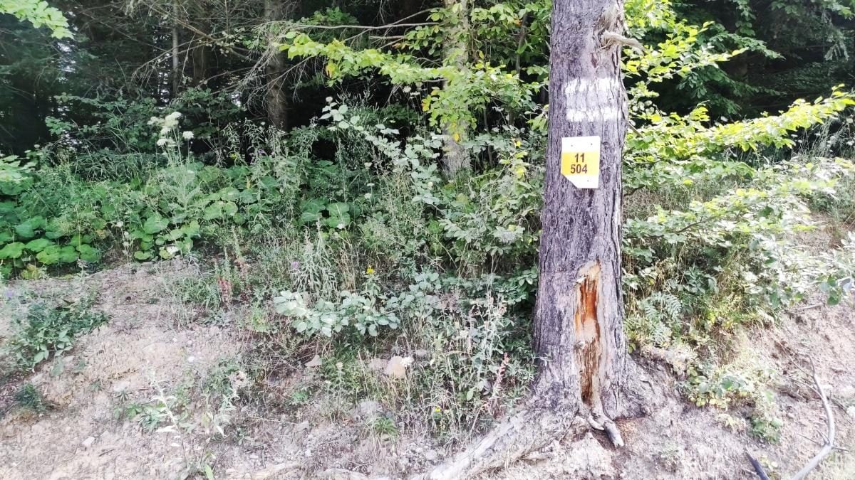 Ямельницькі скелі: блукаючи непрохідними стежками УПА