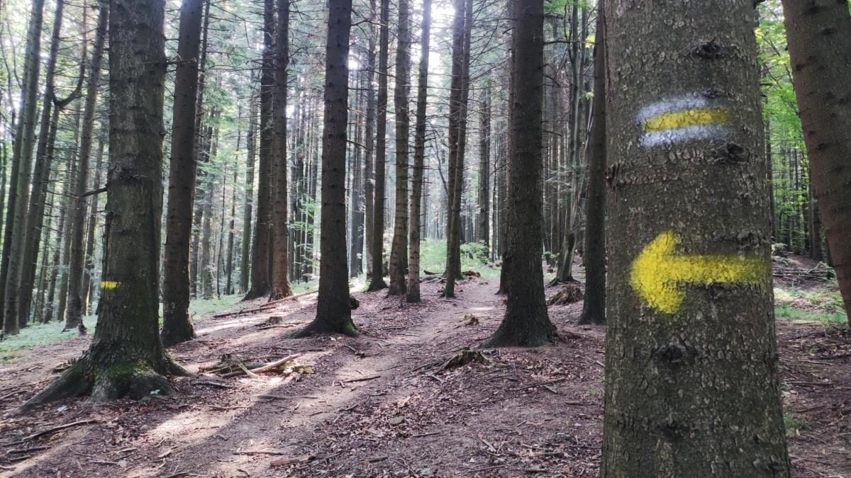 Ямельницькі скелі: блукаючи непрохідними стежками УПА