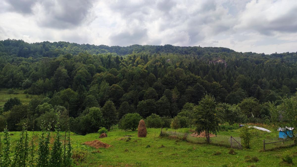 Ямельницькі краєвиди (десь там видніються скелі) / фото Марина Григоренко