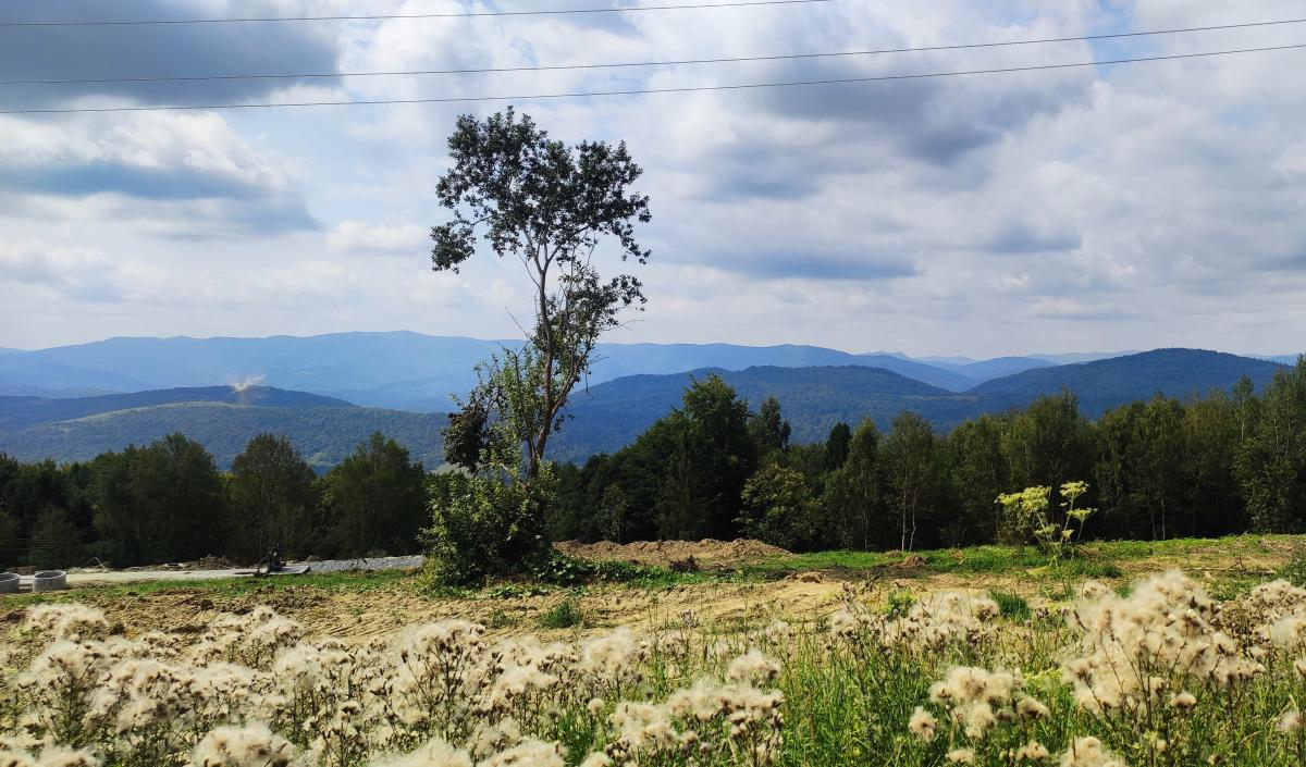 Але ж краєвиди на шляху зі Східниці до Ямельниці неймовірні / фото Марина Григоренко