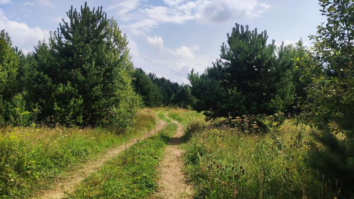 Ямельницькі скелі: блукаючи непрохідними стежками УПА