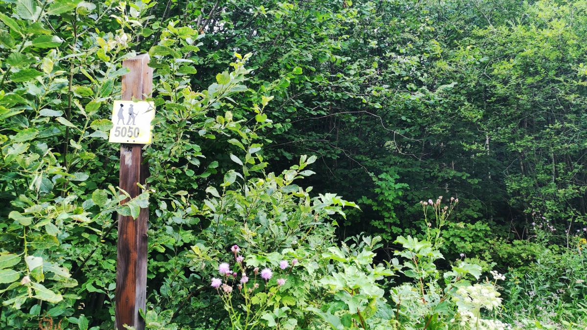 З розміткою тут повна біда / фото Марина Григоренко